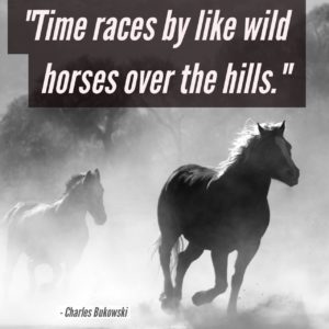 time-races-by-like-wild-horses-over-the-hills