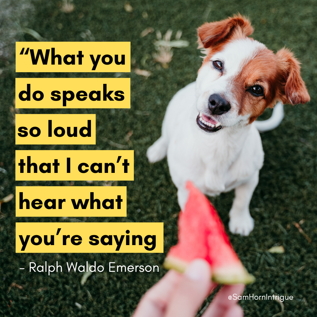 Never Yell At a Barking Dog - The Better Newsletter #16