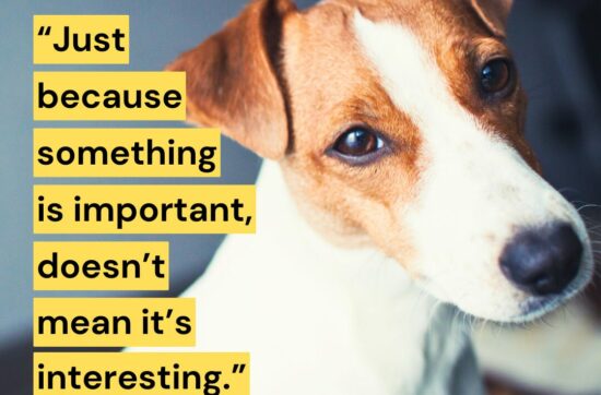 Sam Horn's Better Newsletter AHA Image. Dog looking curious with quote