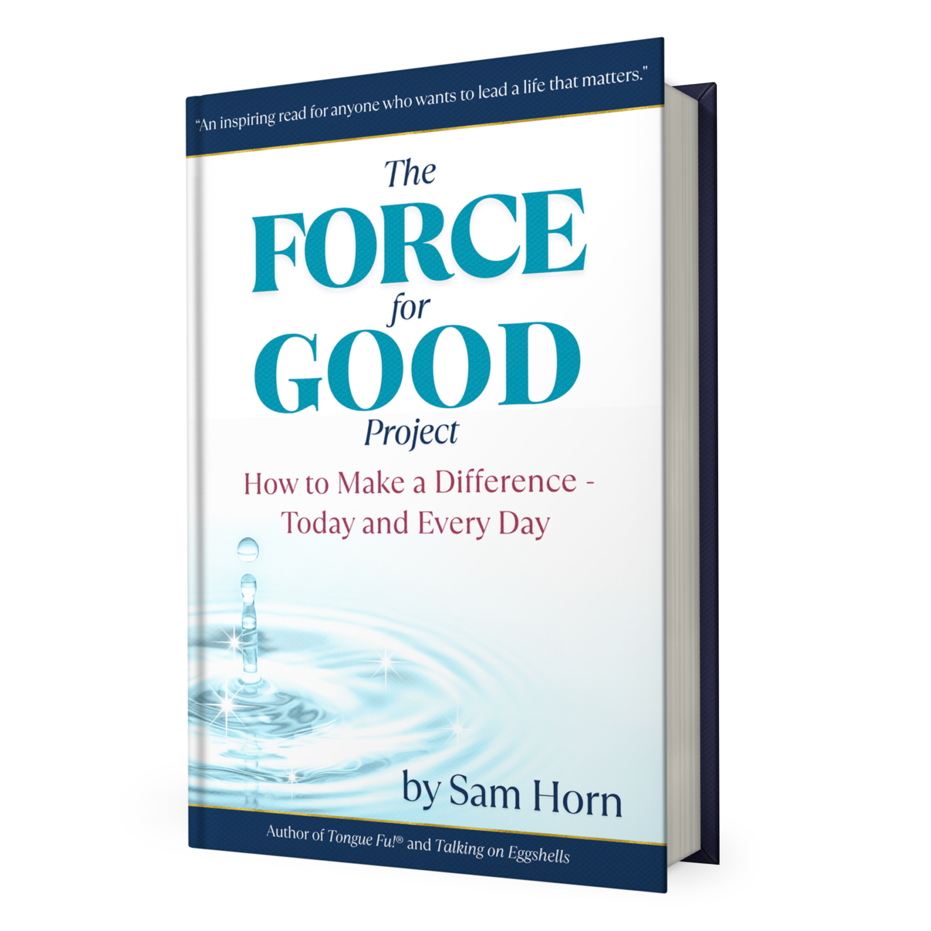 Sam Horn's Force for Good Project book cover mockup