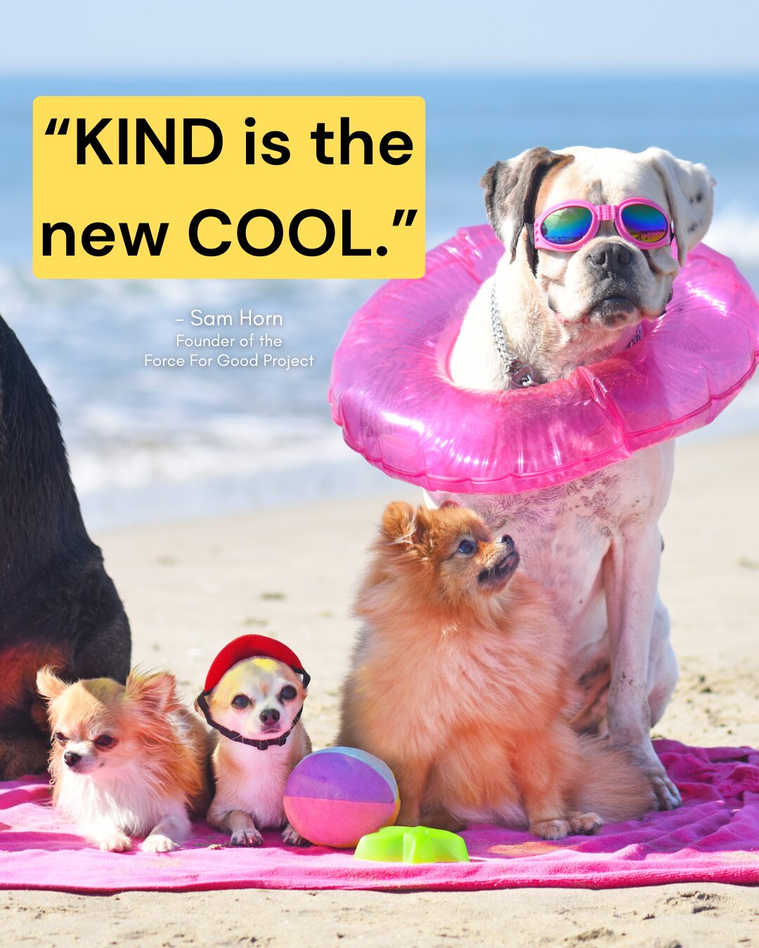 Kind is the New Cool - The Better Newsletter #128